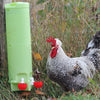 Abreuvoir à poules – Imperfection esthétique | 20 % de rabais