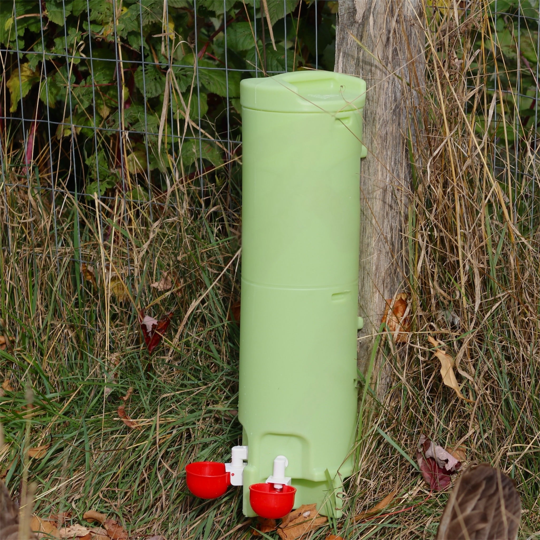 Abreuvoir poules kit de printemps plumes champetres