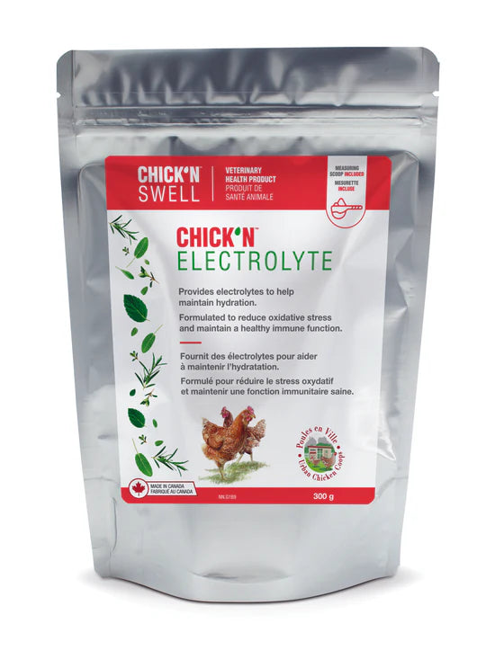 Sac 300g Chick N Electrolyte supplement kit printemps plumes champetres
