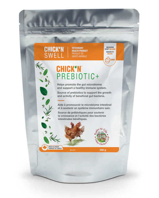 SAc 300g Chick N Prebiotic + Chick N Swell kit printemps poulailler plumes champetres