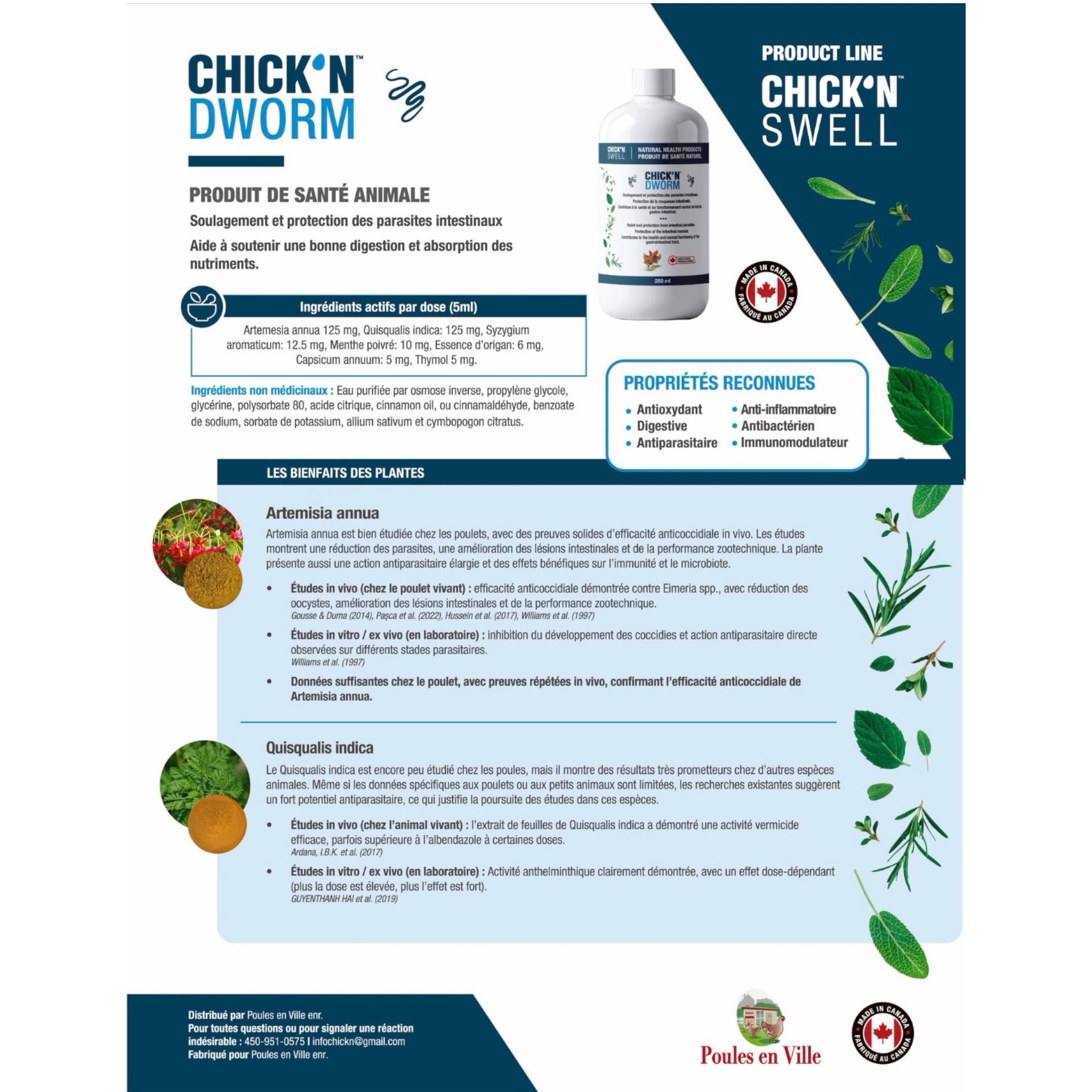 Ingrédients actifs et bienfaits - Chick'N Dworm - Suppléments pour poules - Plumes Champêtres