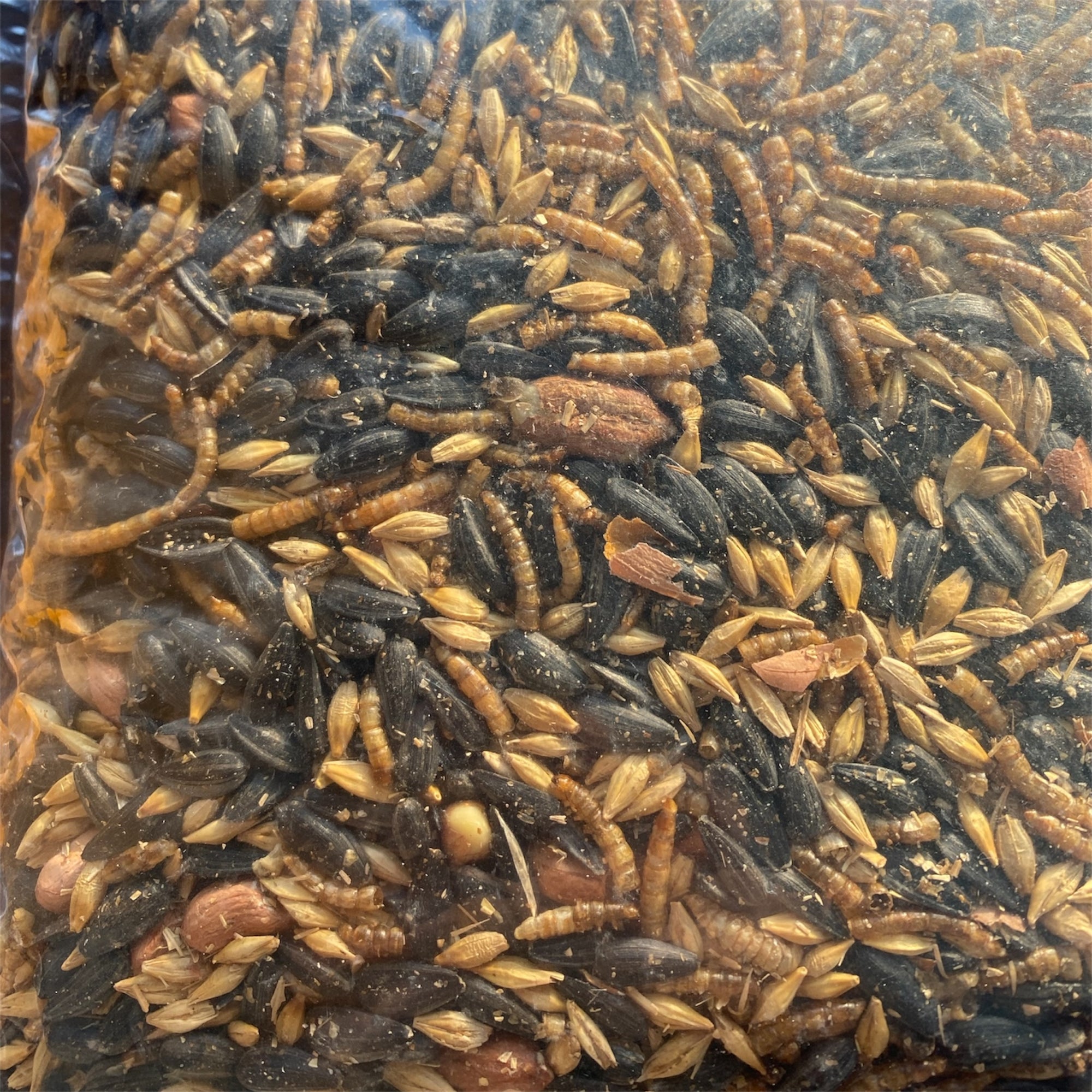 Melange de grains, noix et insectes, cinderella, chick caboose