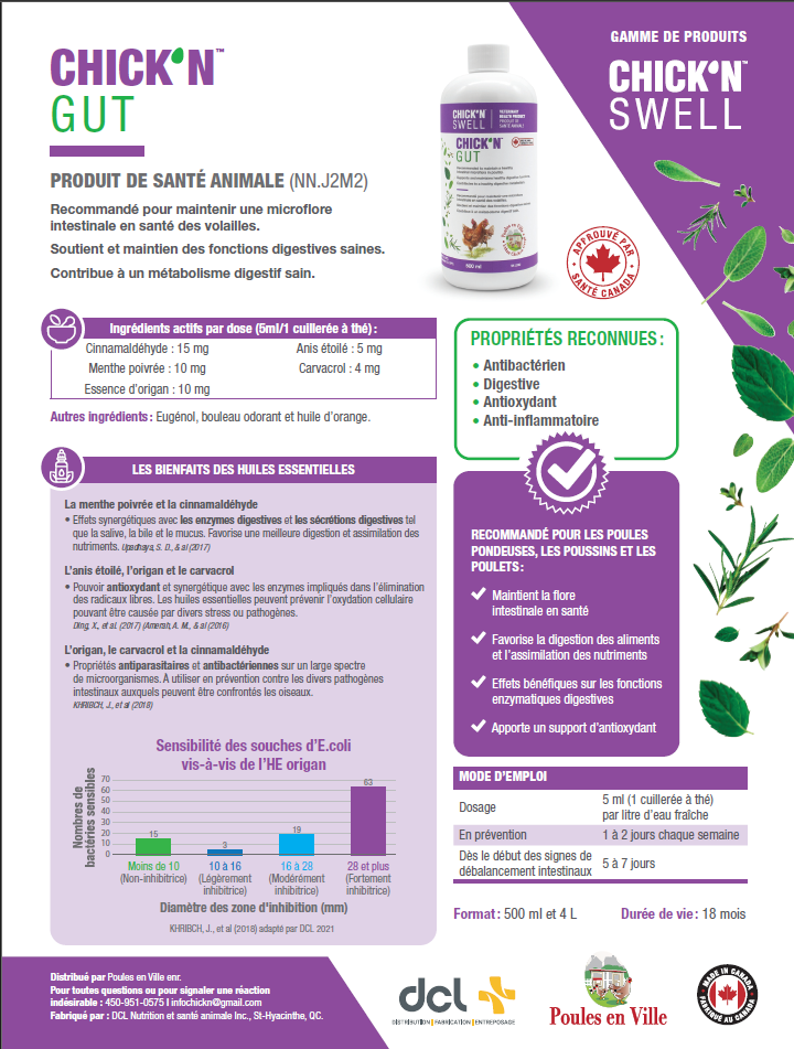 ingredients et bienfaits chickn gut produit sante animale plumes champetres